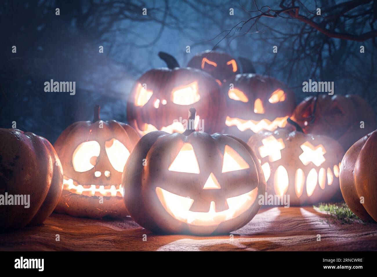 Spooky halloween background. Halloween Pumpkins In Spooky Forest At ...