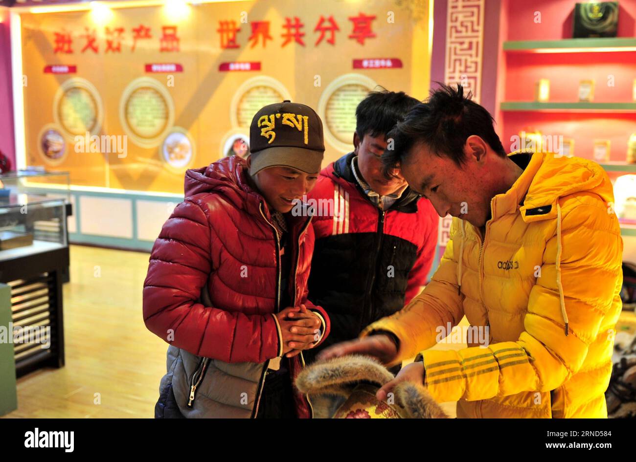 (160504) -- BAINGOIN, May 4, 2016 -- A working staff introduces online products to the locals at an e-commerce service center in Baingoin County, southwest China s Tibet Autonomous Region, March 20, 2016. With an elevation of 4,747 meters, Baingoin County was basically cut off from the outside world and was rarely known by people. An online trade platform was set up and linked the county and outside world, which greatly changed the locals who were self-supported by animal husbandry. ) (wyl) CHINA-TIBET-E-COMMERCE (CN) JigmexDorje PUBLICATIONxNOTxINxCHN   160504 Baingoin May 4 2016 a Working St Stock Photo