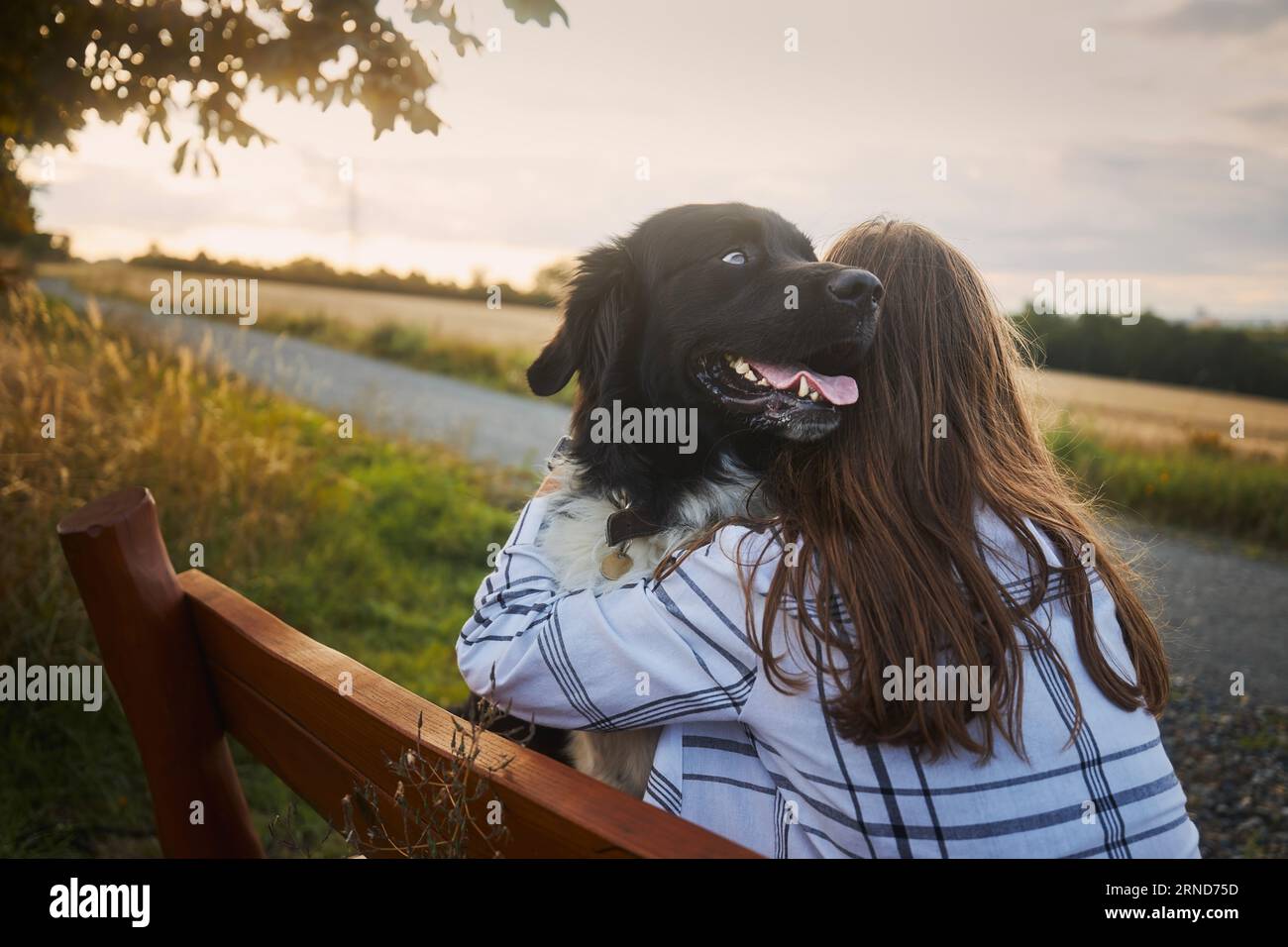 Happy teen girl hugging her dog on wooden bench. Joyful Czech Mountain Dog with pet owner. Stock Photo