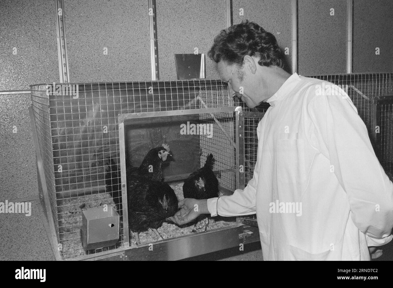 Current 018 - 3 - 1974: They die for usWithout the use of animal ...