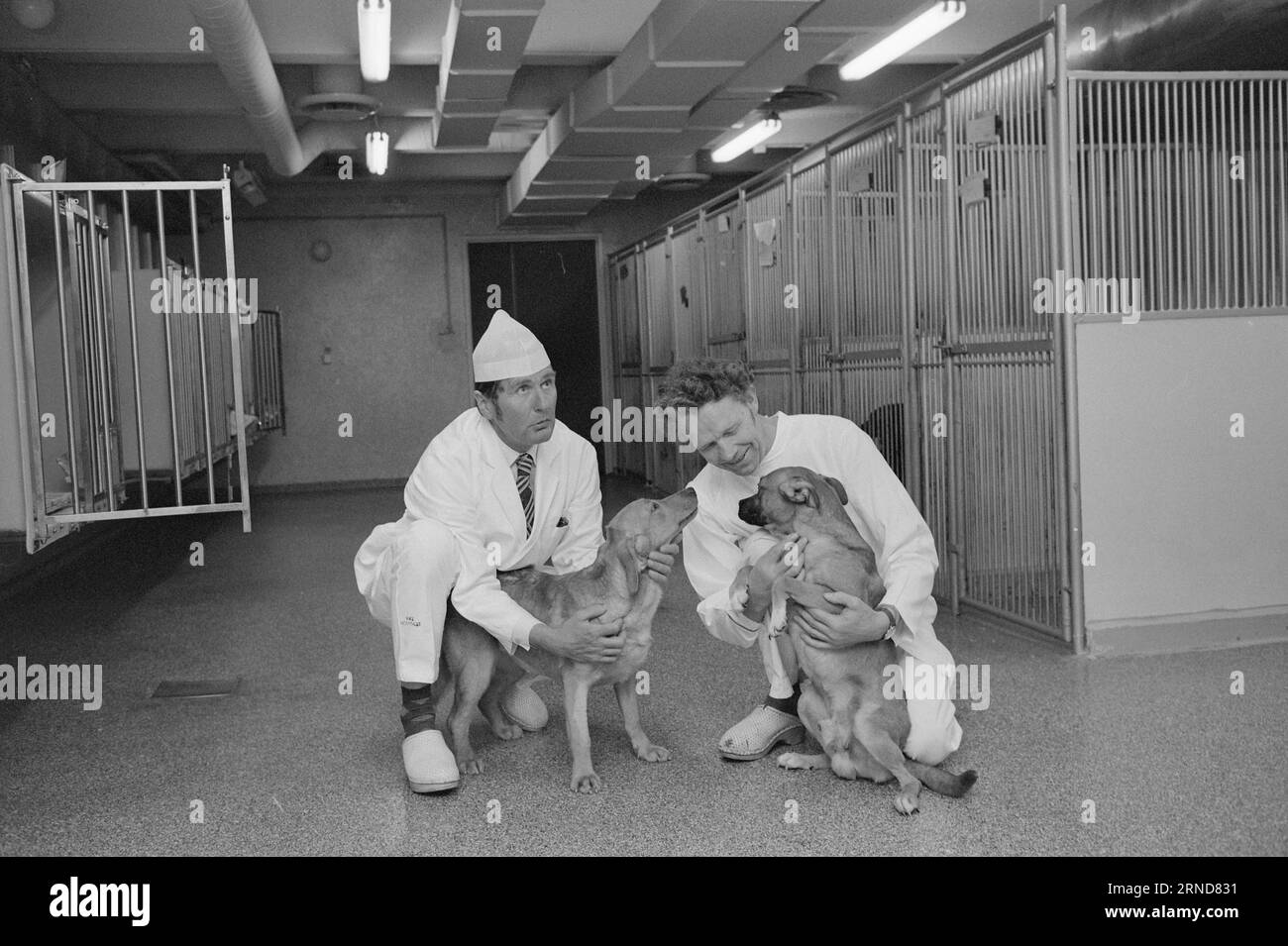 Current 018 - 3 - 1974: They die for usWithout the use of animal ...