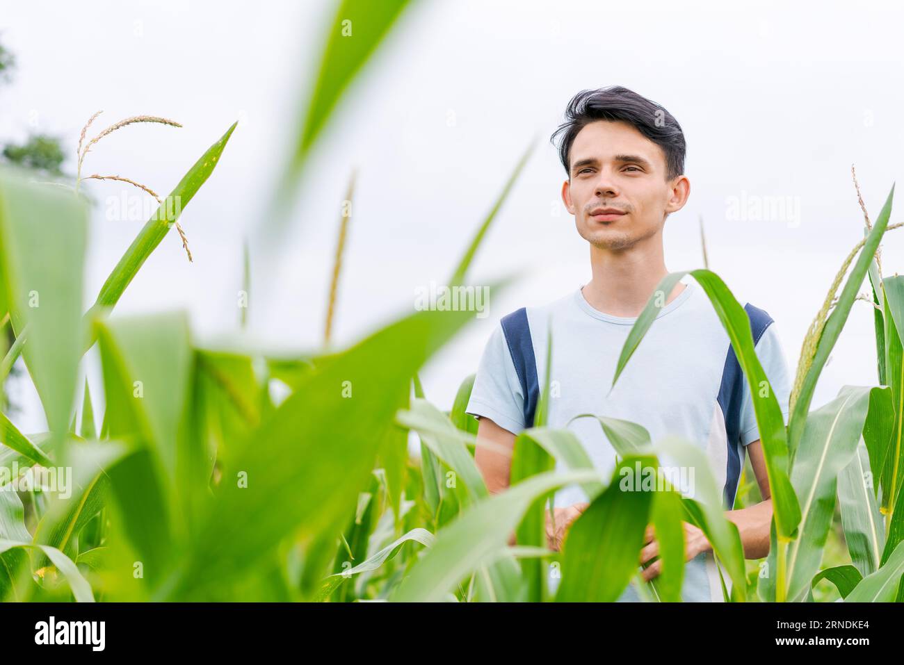 young guy farmer stands in a cornfield Stock Photo