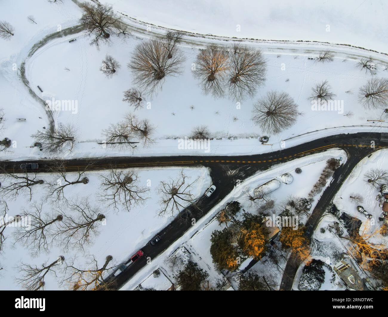 Aerial view of snow and trees along the Brookline Reservoir in