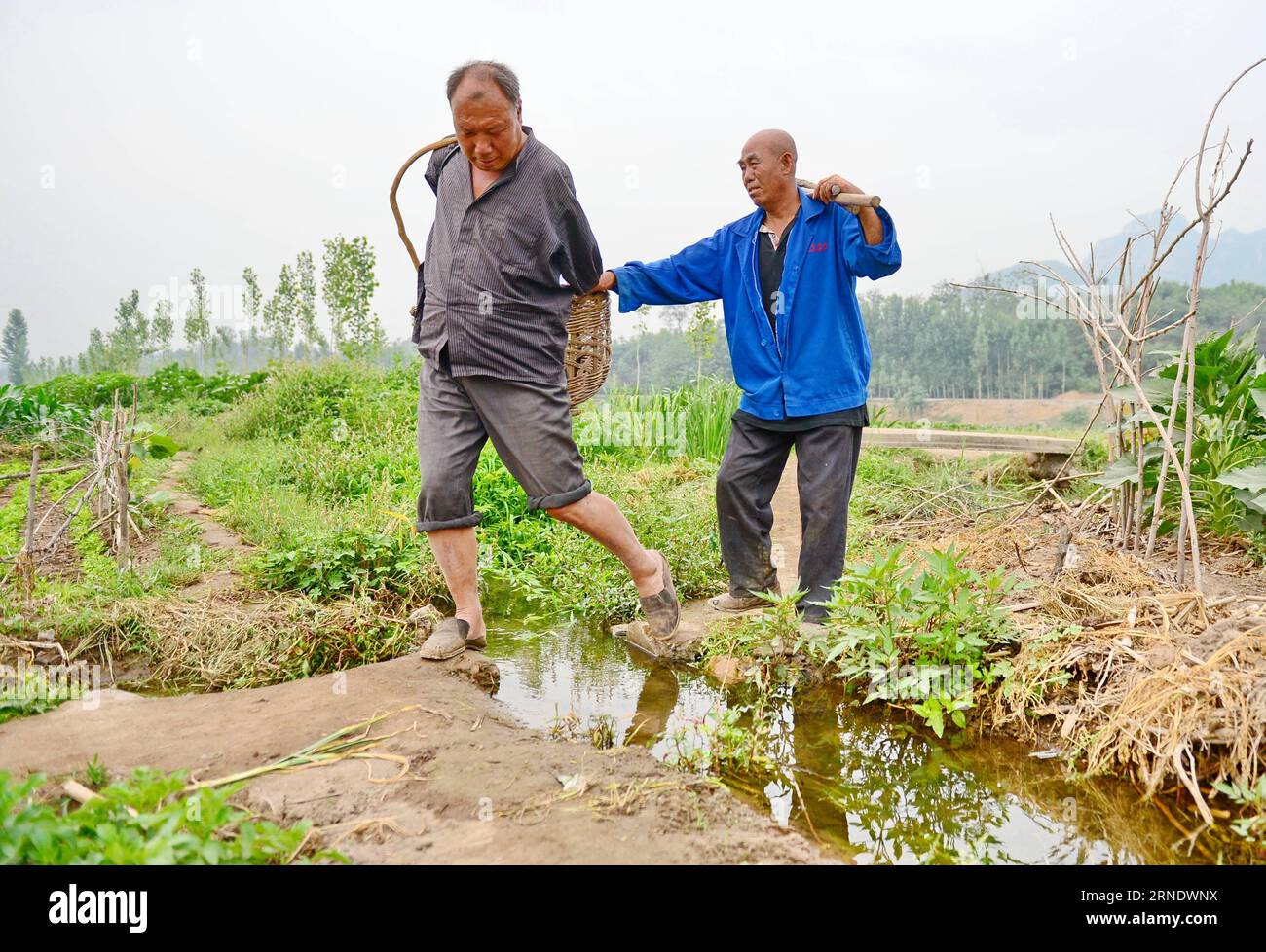 Themen der Woche Bilder des Tages China: blinder und armloser Bauer bestellen gemeinsames Feld SHIJIAZHUANG, May 31, 2016 -- Jia Wenqi (L) and his friend Jia Haixia walk in the field in Yeli Village of Jingxing County, north China s Hebei Province, May 31, 2016. The 55-year-old sightless Jia Haixia and 54-year-old armless Jia Wenqi spent 14 years to turn a wasteland into an oasis. ) (zkr) CHINA-HEBEI-BLIND MAN AND ARMLESS MAN-TREE PLANTING(CN) ZhuxXudong PUBLICATIONxNOTxINxCHN   Topics the Week Images the Day China blind and Armloser Bauer order common Field Shijiazhuang May 31 2016 Jia Wenqi Stock Photo