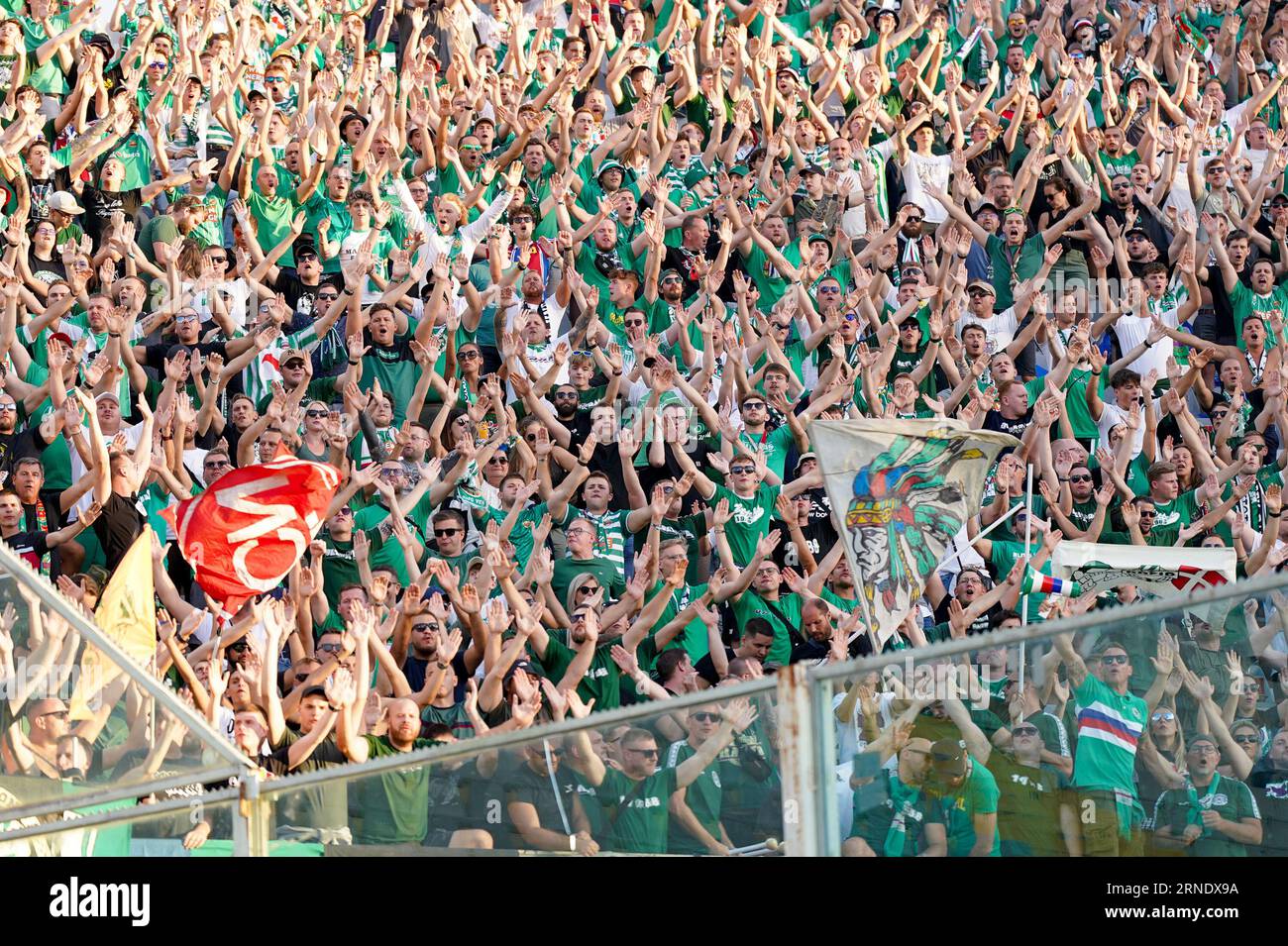 Rapid Wien supporters during the UEFA Conference League Play-Off leg two match between ACF Fiorentina and SK Rapid Wien at Stadio Artemio Franchi on August 31, 2023 in Florence, Italy. Credit: Giuseppe Maffia/Alamy Live News Stock Photo