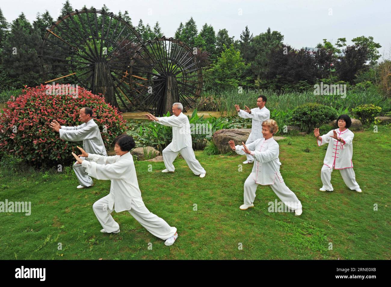 (160605) -- ANJI, June 5, 2016 -- Senior people practise Tai Chi in a park in Anji County, east China s Zhejiang Province, June 2, 2016. Anji is known for its pleasant environment with flourishing bamboo plantations and many scenes from the famous movie Crouching Tiger, Hidden Dragon were shot here. The county persists in green, low-carbon development, and strives to protect environment as well as to develop local economy. June 5 is observed as World Environment Day every year, and this year s theme issued by China s Ministry of Environment Protection is improving the quality of the environmen Stock Photo