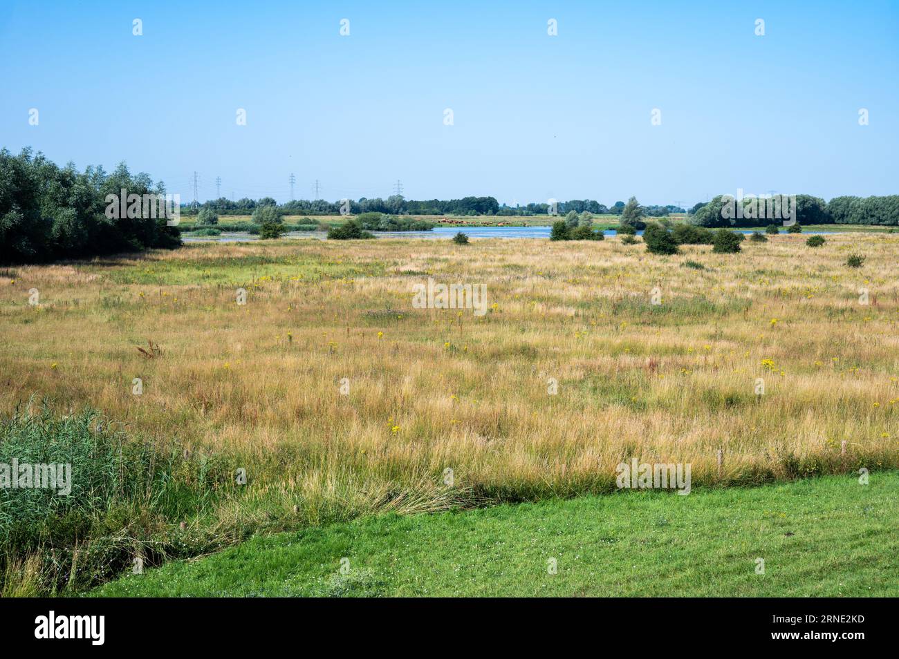 Groessen hi-res stock photography and images - Alamy
