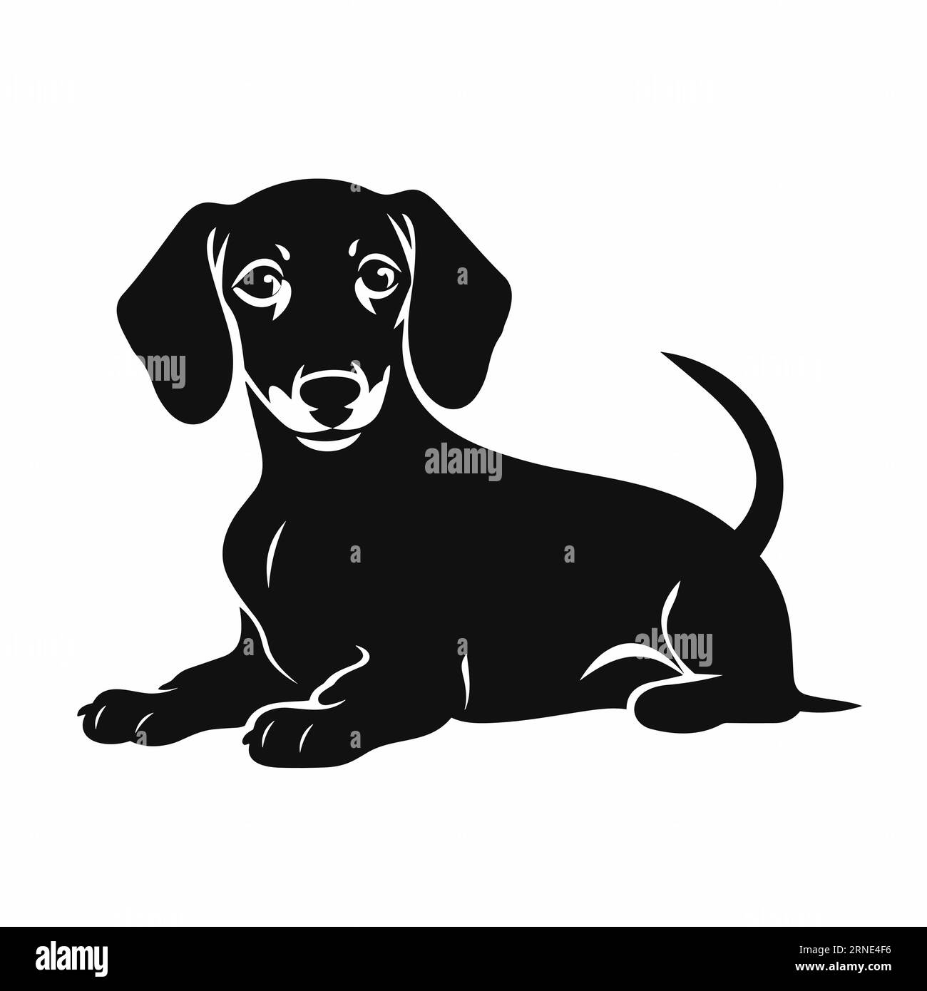 Dachshund silhouette. Dachshund black icon on white background Stock