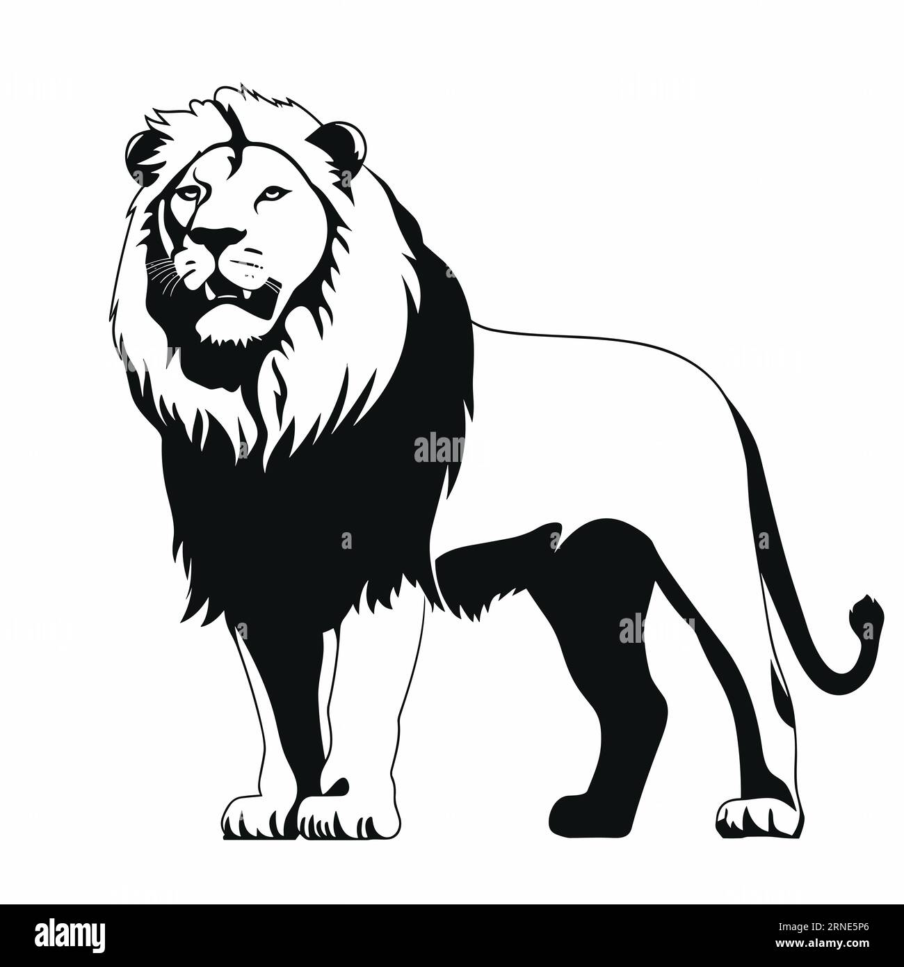 Full body lion white background Stock Vector Images - Alamy