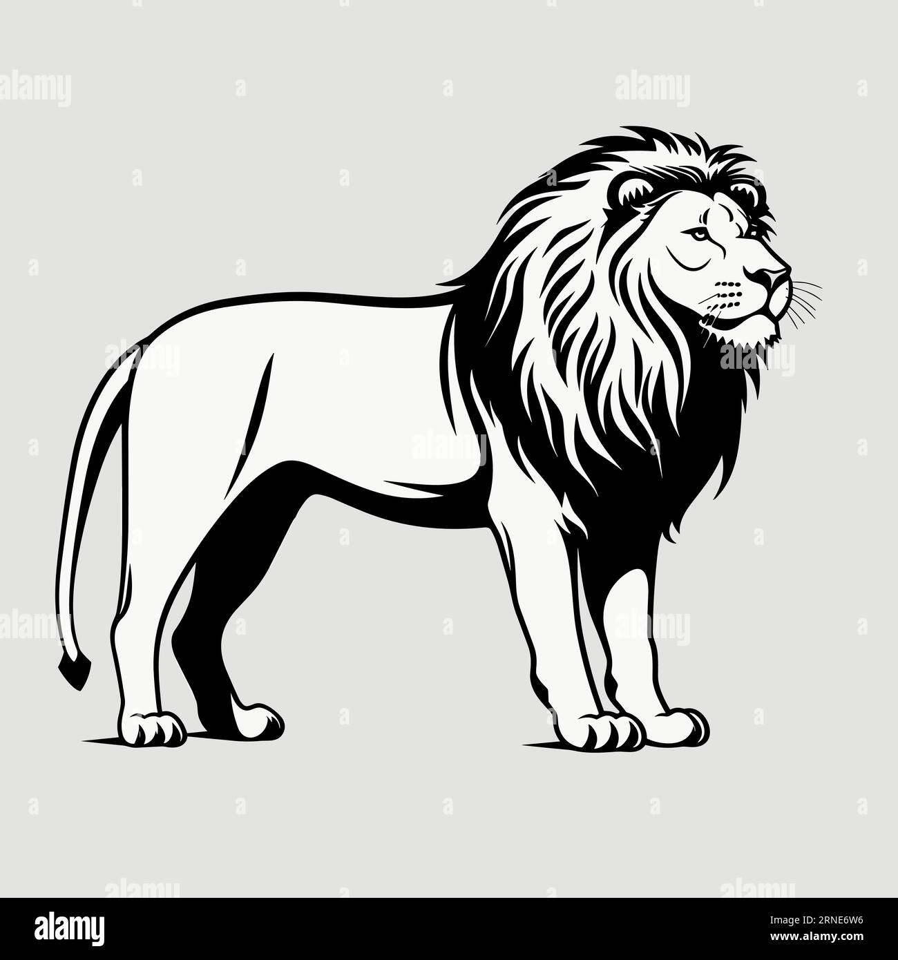 Full body lion white background Stock Vector Images - Alamy