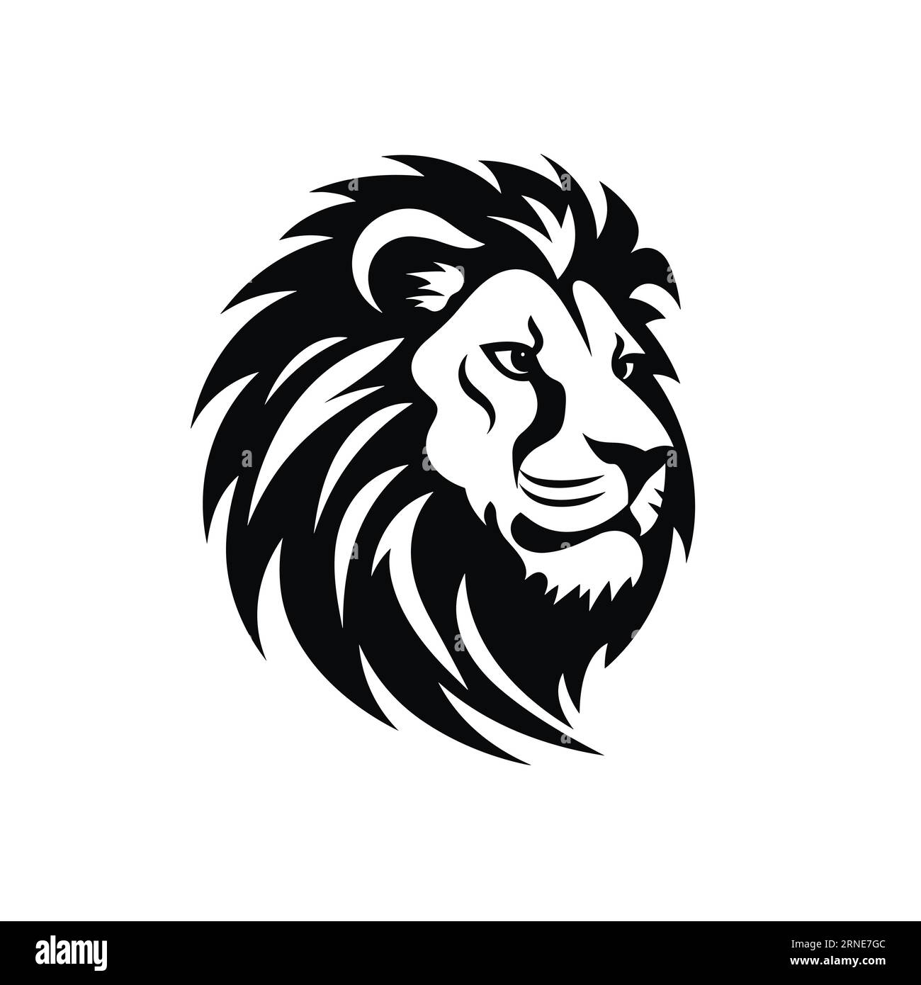 Full body lion white background Stock Vector Images - Alamy