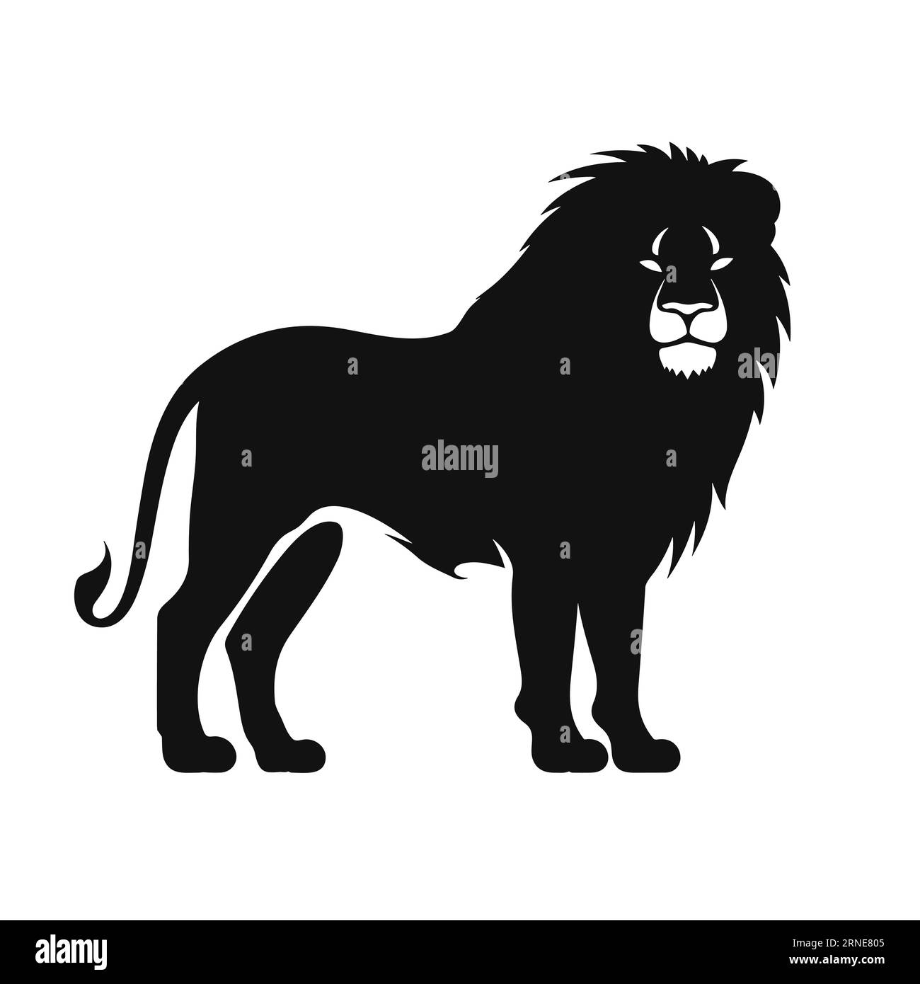 Full body lion white background Stock Vector Images - Alamy