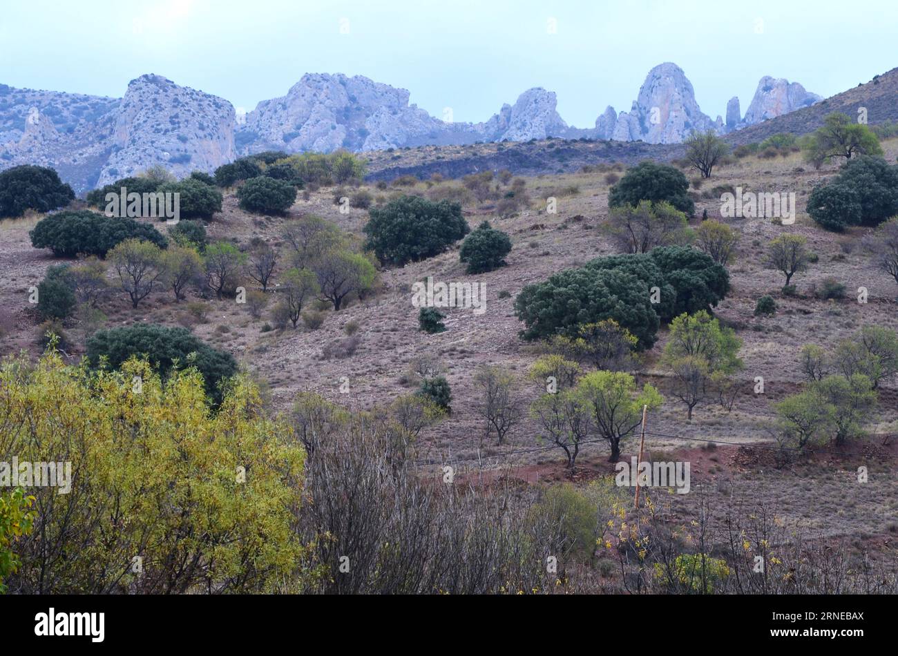 Karst mountains in the Sierra del Moncayo massif, northeastern Spain
