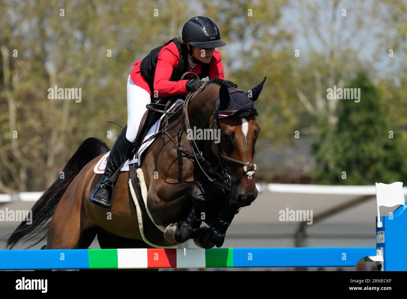 Austria's Katharina Rhomberg riding Cuma 5 competes during the European Equestrian Championships in Milan, Italy, Friday, Sept. 1, 2023. (AP Photo/Antonio Calanni) Stock Photo