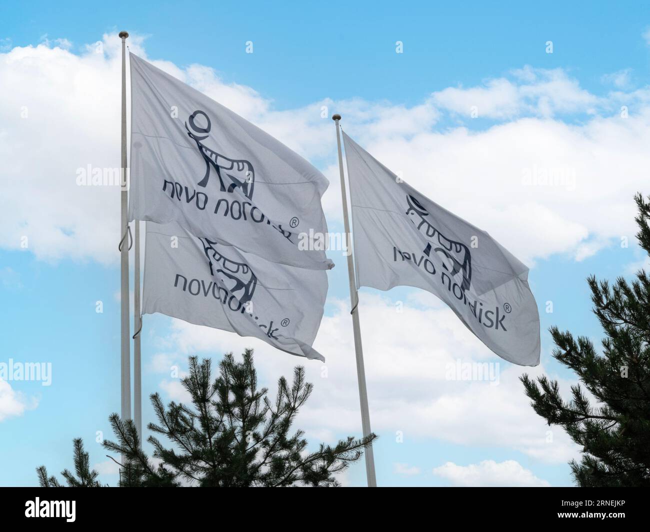 Novo Nordisk flags waving from a flagpole with blue sky background. A pharmaceutical company headquartered in Denmark. Copenhagen, Denmark - august 12 Stock Photo