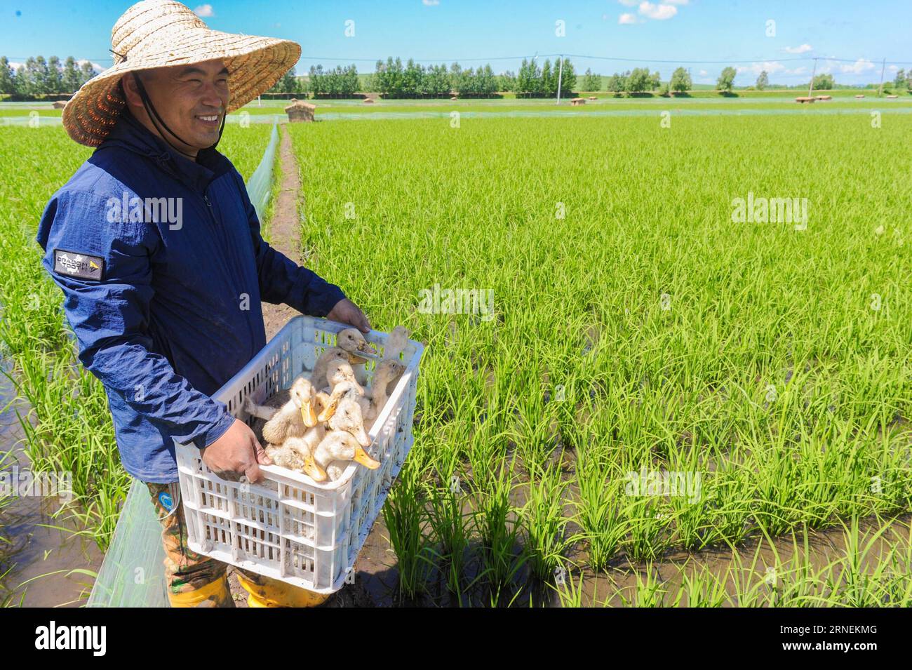 Guruh jinsiy aloqa Birinchi dars: anal jinsiy aloqa