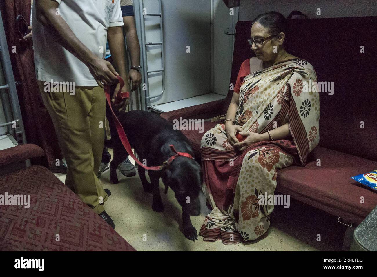 (160703) -- KOLKATA (INDIA), July 3, 2016 -- An Indian security staff checks Rajdhani Express with a sniffer dog at Howrah station in Kolkata, capital of eastern Indian state West Bengal, July 3, 2016. The terror attack at a cafe in the Bangladeshi capital of Dhaka Friday night has created a panic in India s eastern state of West Bengal and some northeast states. International borders with Bangladesh were sealed Saturday by India s Border Security Force (BSF) and several states were put on high alert by Home Ministry. ) (zjy) INDIA-KOLKATA-SECURITY-HIGH ALERT TumpaxMondal PUBLICATIONxNOTxINxCH Stock Photo