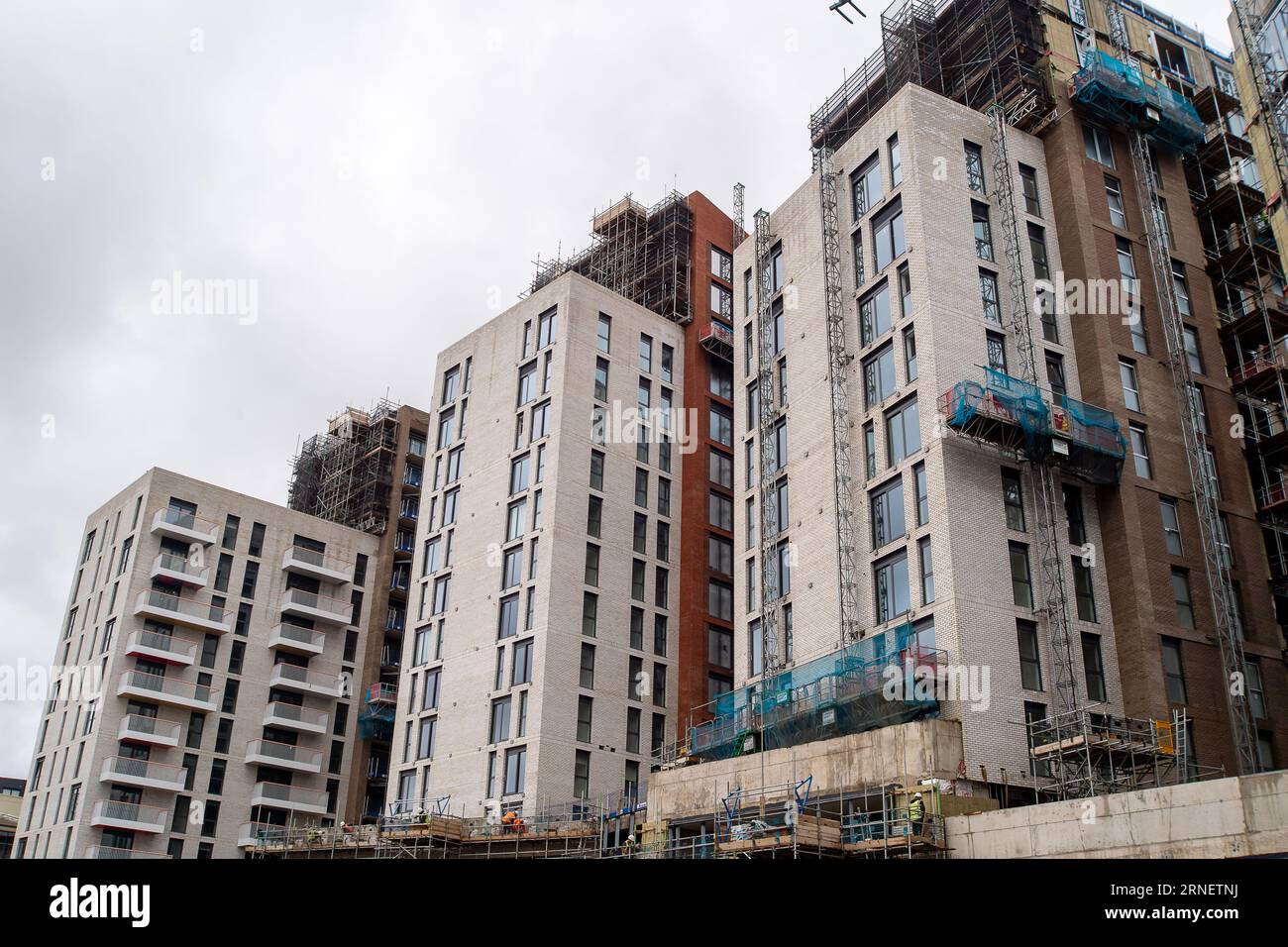 Maidenhead, Berkshire, UK. 1st September, 2023. Hundreds of new build