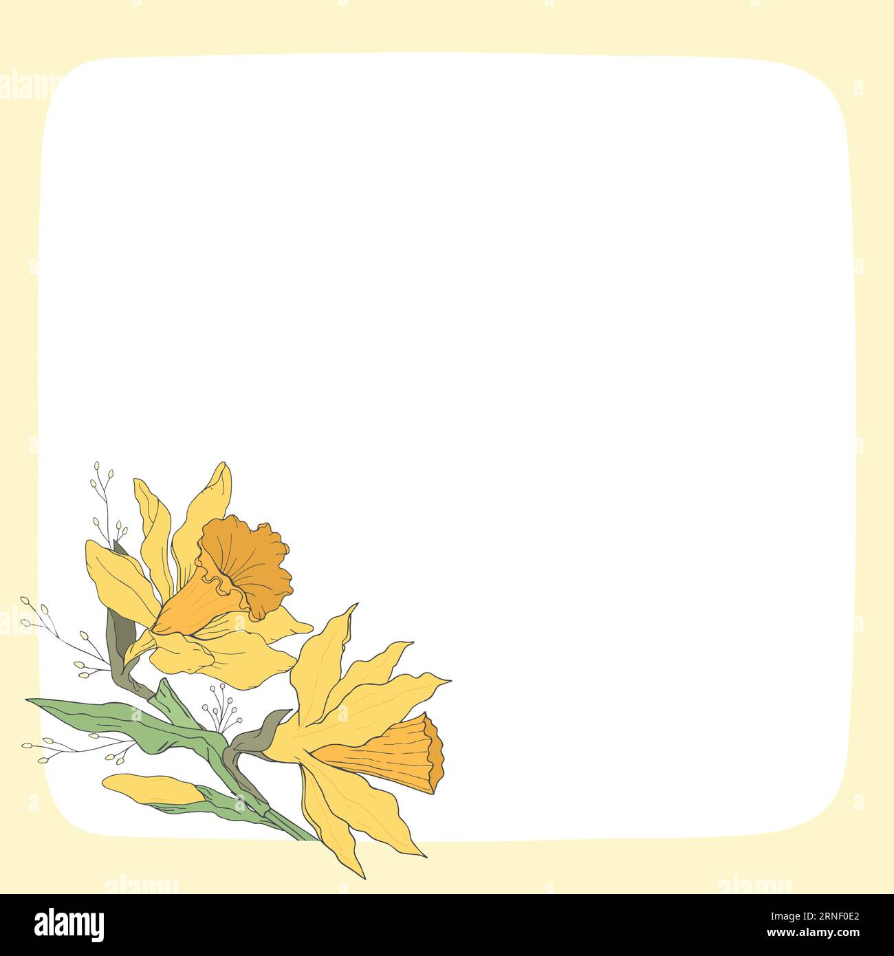 Daffodil floral template. Narcissus. Square frame with hand drawn flowers. For cards, invitations, save the date cards Stock Vector