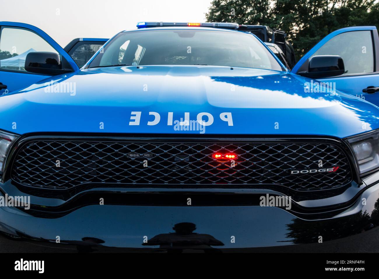 USA Police car front view with lights on Stock Photo Alamy