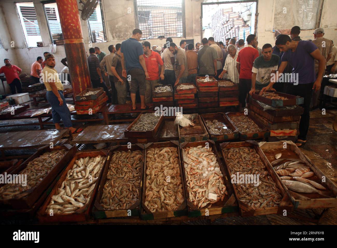 (160722) ALEXANDRIA (EGYPT), July 21, 2016 People shop seafood at