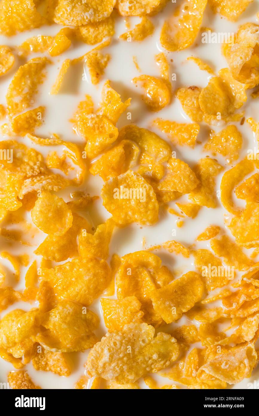 Sweet Organic Frosted Corn Flakes Cereal with Whole Milk Stock Photo