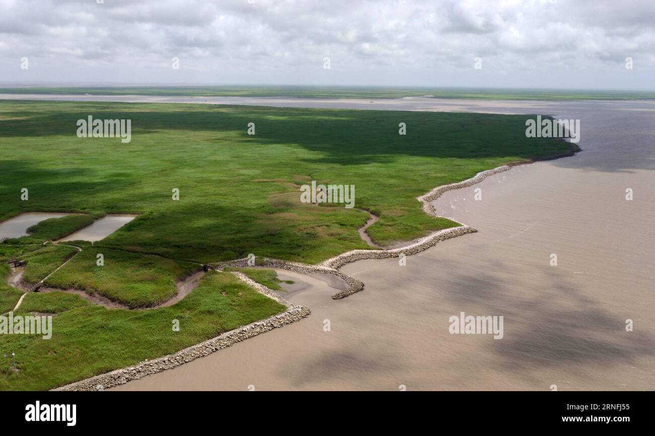 (160811) -- SHANGHAI, Aug. 11, 2016 -- Photo taken on Aug. 10, 2016 shows the aerial view of Jiuduansha Wetland in Shanghai, east China. Jiuduansha Wetland Nature Reserve was established in March 6, 2000. Accodring to a report published in 2015, the wetland has become the habitat of 403 species of insects, 135 speices of fishes and 206 species of birds including three first class national protected animals, namely, oriental white stork, hooded crane and relict gull. ) (zkr) CHINA-SHANGHAI-JIUDUANSHA WETLAND (CN) DingxTing PUBLICATIONxNOTxINxCHN   160811 Shanghai Aug 11 2016 Photo Taken ON Aug Stock Photo