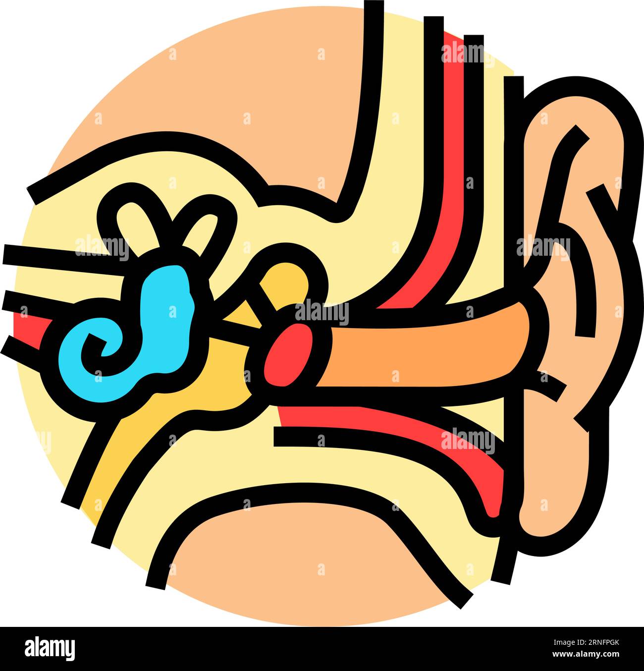 ear anatomy audiologist doctor color icon vector illustration Stock