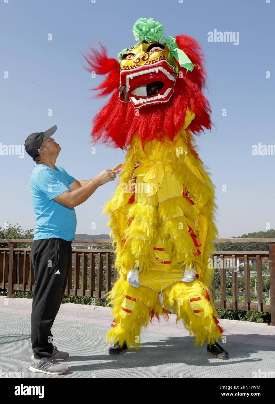 (160829) -- BEIJING, Aug. 29, 2016 -- Li Mingxu, an inheritor of Jinzhou Lion Dance, teaches an African trainee the essentials of lion dance performance during a training session in Dalian, northeast China s Liaoning Province, Aug. 28, 2016. As a China-Africa cultural exchange event, ten trainees from Zimbabwe and Nigeria participated in the five-week training course on the Chinese lion dance in Dalian. ) (wx) CHINA-DALIAN-AFRICAN TRAINEES-LION DANCE (CN) ChenxJianli PUBLICATIONxNOTxINxCHN   160829 Beijing Aug 29 2016 left  to inheritor of Jinzhou Lion Dance teaches to African Trainee The esse Stock Photo