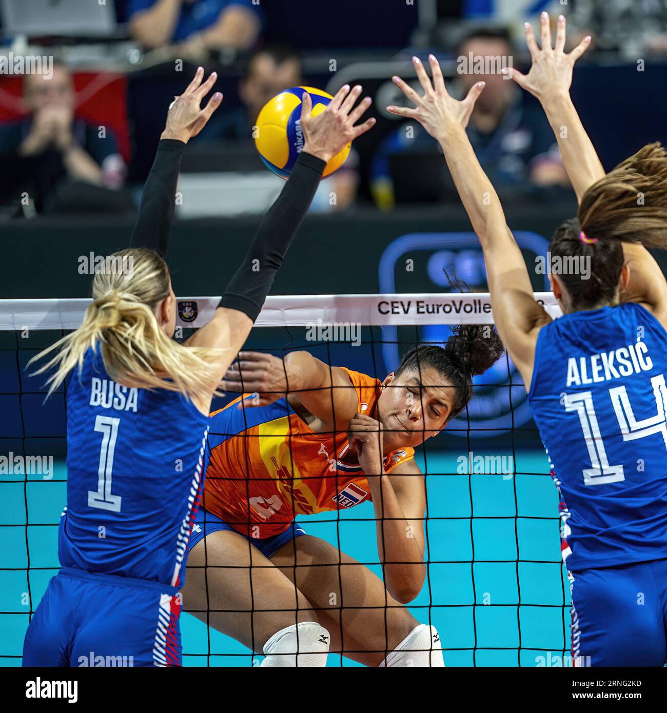 BRUSSELS - Celeste Plak in action during the semifinals of the European Volleyball Championship against reigning world champion Serbia