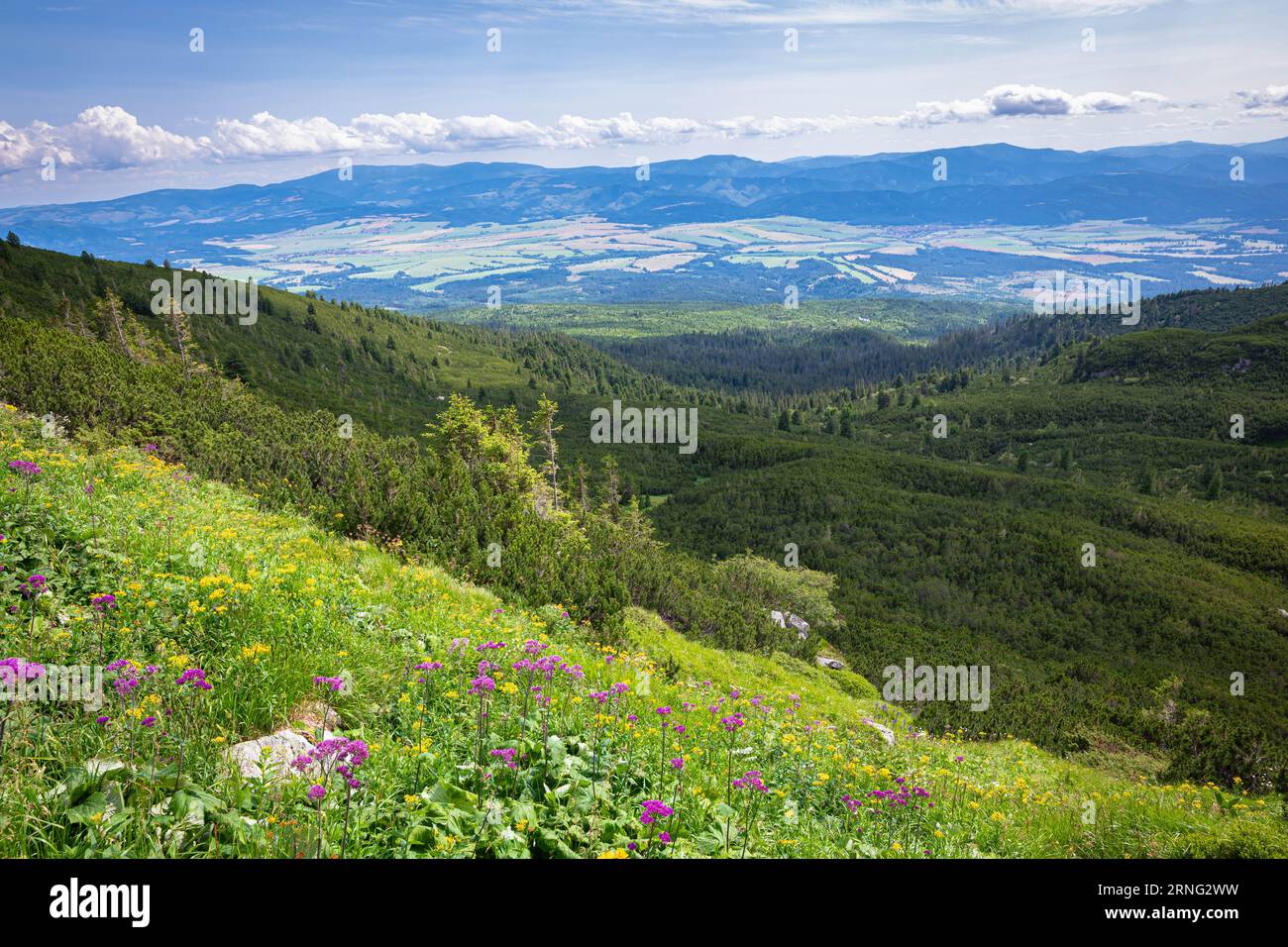 Landscape view from Tatra Mountains in Slovakia Stock Photo