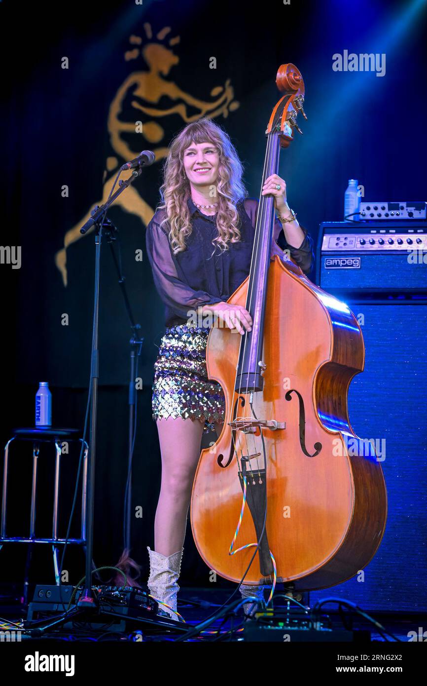 Upright bass hires stock photography and images Alamy