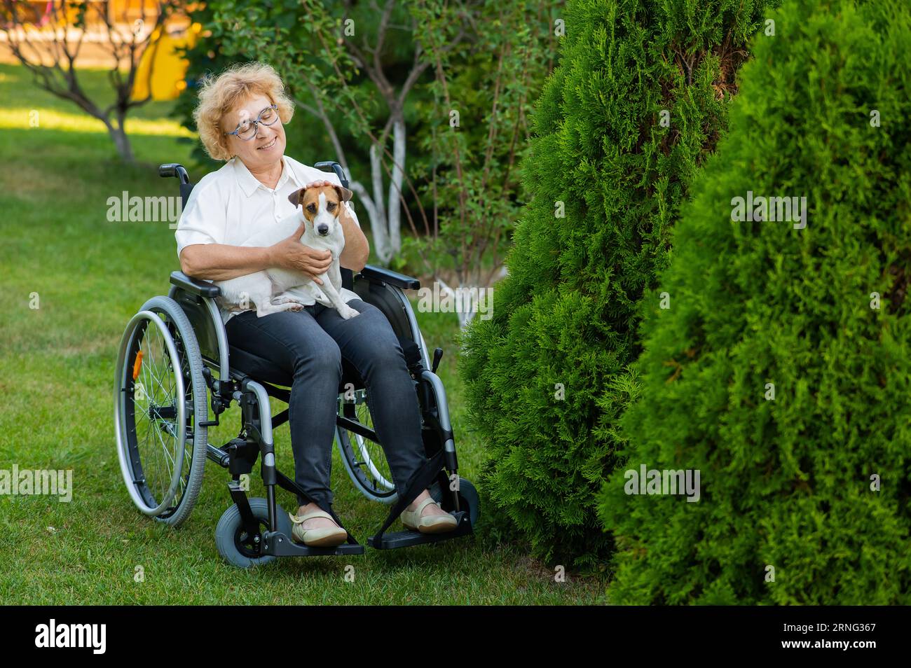 Elderly caucasian woman hugging a jack russell terrier dog while