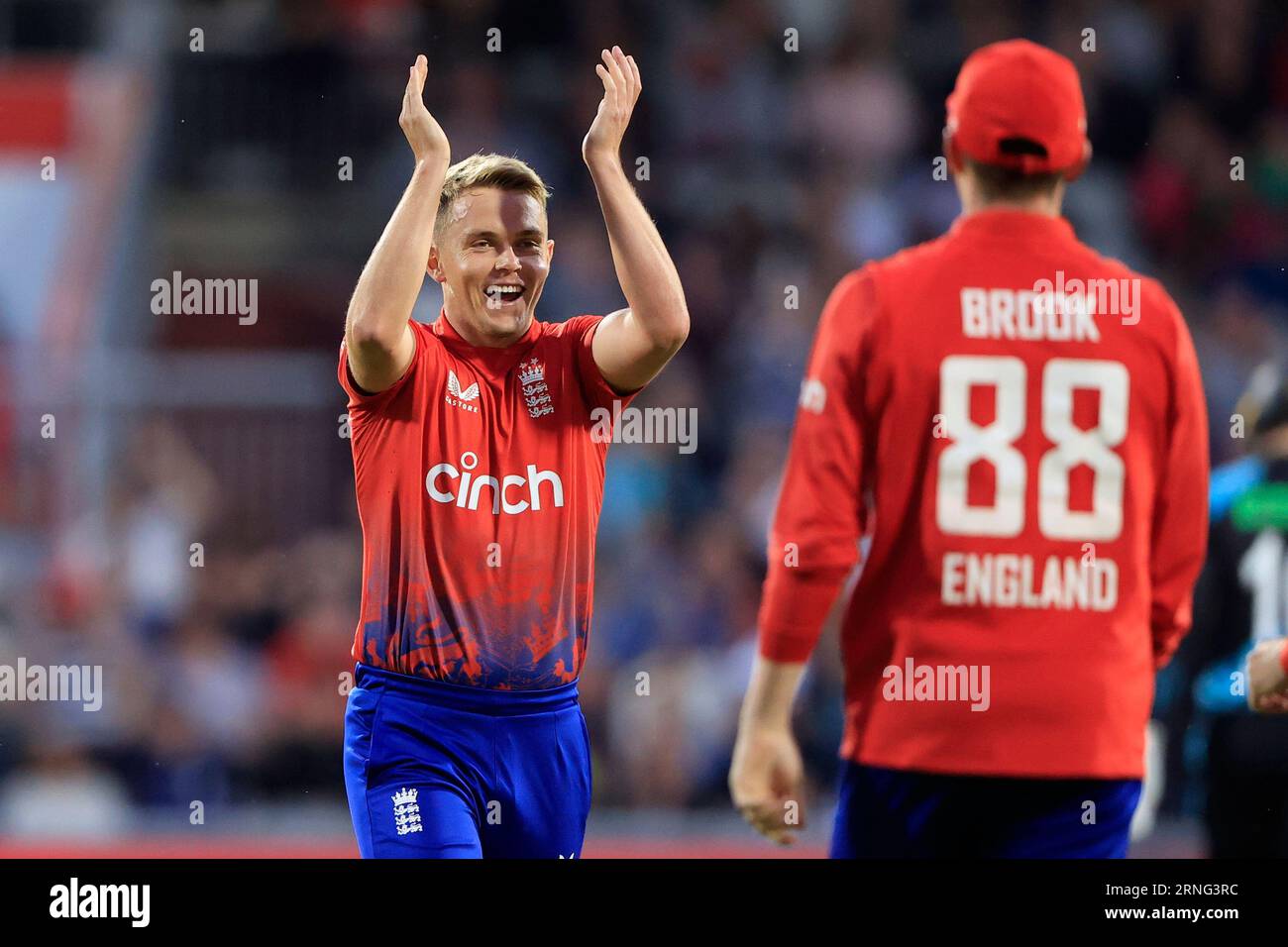 Finn allen new zealand hi-res stock photography and images - Alamy