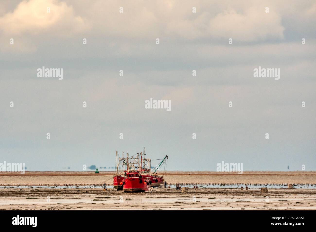 Shellfish boats beached in the Wash to gather cockles at low tide. Boats float off at next high tide. Stock Photo