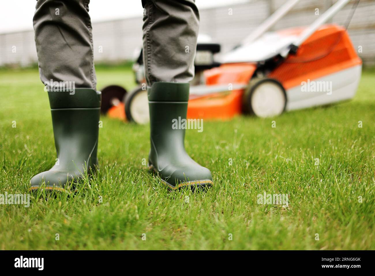 Cropped photo of male gardener legs in rubber boots stands on cut green