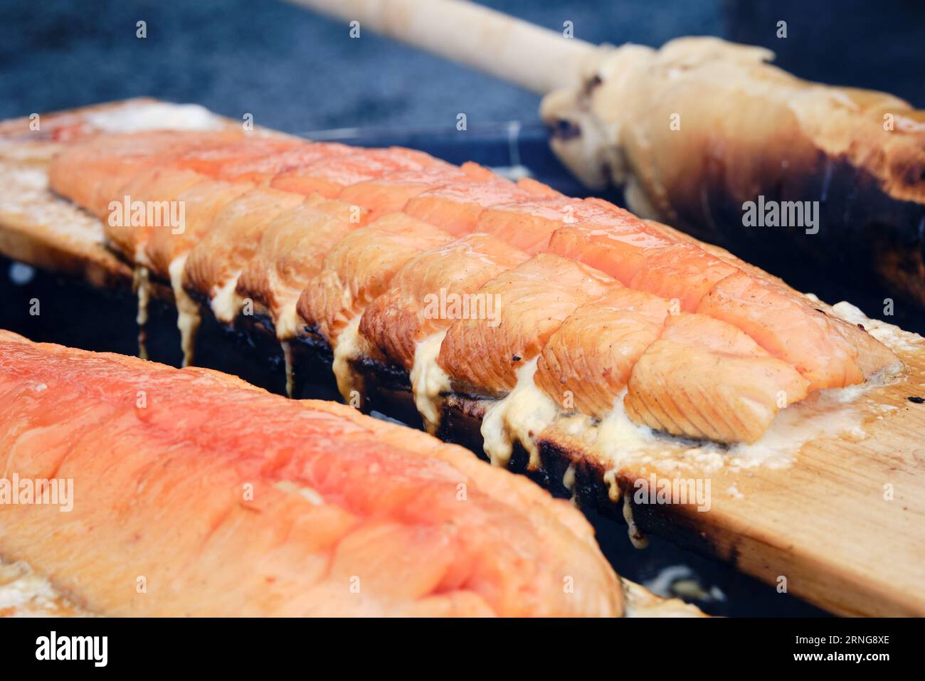 Traditional Indigenous preparation of salmon filet with maple glaze ...