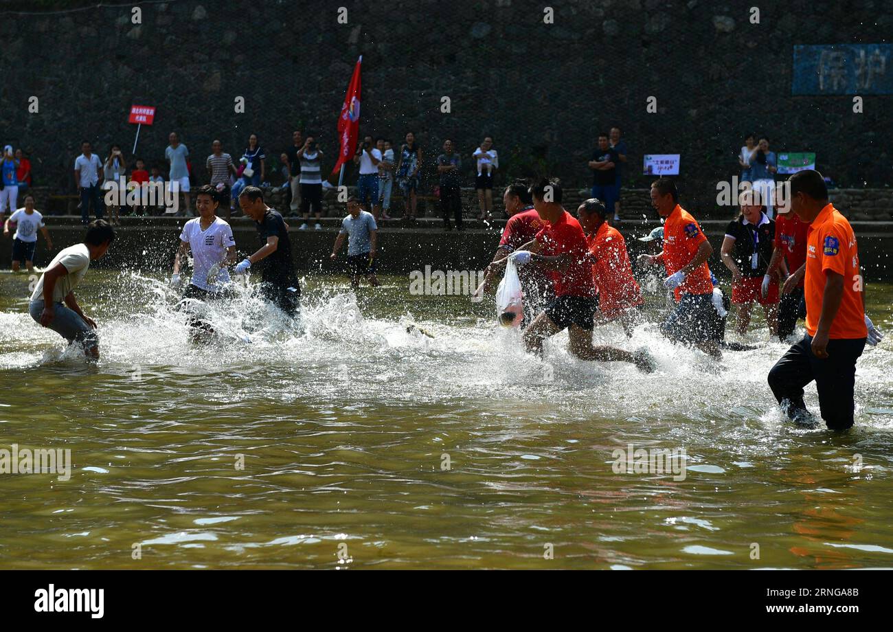 ENSHI, Sept. 16, 2016 -- Local people run to catch fish by hands in a river to celebrate a good harvest in Xuanen County, central China s Hubei Province, Sept. 16, 2016. ) (cxy) CHINA-HUBEI-FISH CATCHING (CN) SongxWen PUBLICATIONxNOTxINxCHN   Enshi Sept 16 2016 Local Celebrities Run to Catch Fish by Hands in a River to Celebrate a Good Harvest in Xuanen County Central China S Hubei Province Sept 16 2016 Cxy China Hubei Fish Catching CN SongxWen PUBLICATIONxNOTxINxCHN Stock Photo