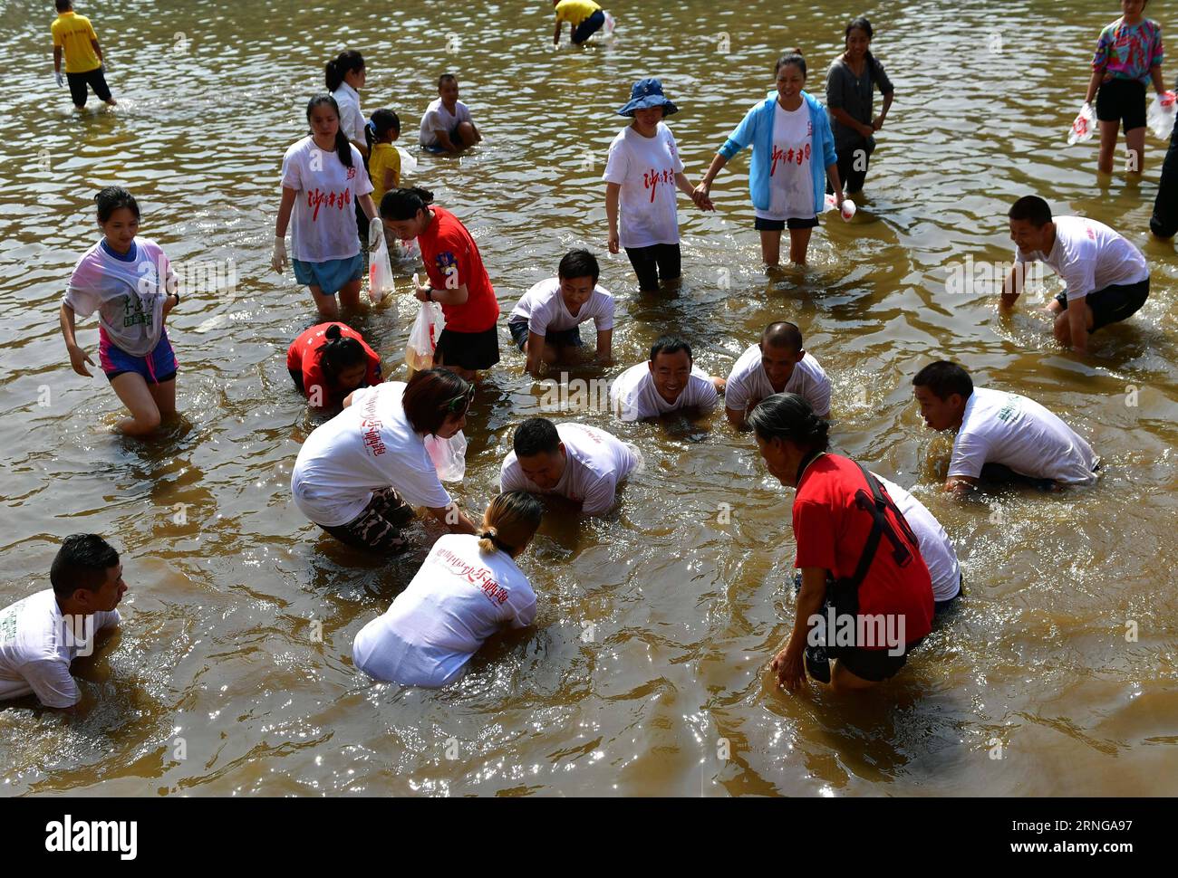 ENSHI, Sept. 16, 2016 -- Local people fumble to catch fish by hands in a river to celebrate a good harvest in Xuanen County, central China s Hubei Province, Sept. 16, 2016. ) (cxy) CHINA-HUBEI-FISH CATCHING (CN) SongxWen PUBLICATIONxNOTxINxCHN   Enshi Sept 16 2016 Local Celebrities fumble to Catch Fish by Hands in a River to Celebrate a Good Harvest in Xuanen County Central China S Hubei Province Sept 16 2016 Cxy China Hubei Fish Catching CN SongxWen PUBLICATIONxNOTxINxCHN Stock Photo