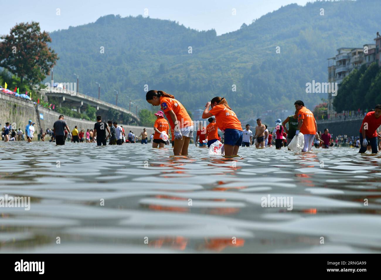 ENSHI, Sept. 16, 2016 -- Local people catch fish by hands in a river to celebrate a good harvest in Xuanen County, central China s Hubei Province, Sept. 16, 2016. ) (cxy) CHINA-HUBEI-FISH CATCHING (CN) SongxWen PUBLICATIONxNOTxINxCHN   Enshi Sept 16 2016 Local Celebrities Catch Fish by Hands in a River to Celebrate a Good Harvest in Xuanen County Central China S Hubei Province Sept 16 2016 Cxy China Hubei Fish Catching CN SongxWen PUBLICATIONxNOTxINxCHN Stock Photo