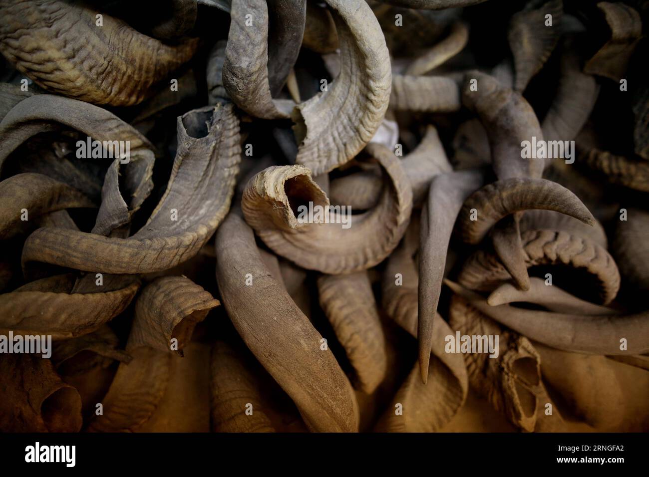 Hasha hires stock photography and images Alamy