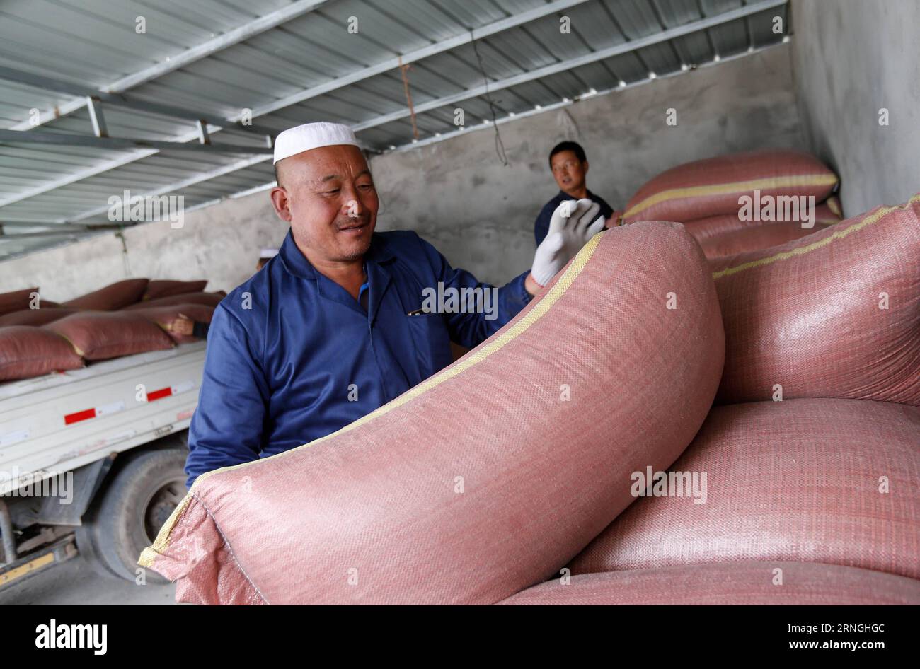 (160930) -- QILIAN, Sept. 30, 2016 -- Zhao Xuewen conveys feedstuffs at a livestock-breeding cooperative in Gezidong Village of Zhamashi Township, Qilian County, northwest China s Qinghai Province, Sept. 28, 2016. Our life will get better and better , the 50-year-old Zhao Xuewen said while looking at his sheep on the hillside in Gezidong. His situation was not so good only a few years ago. In 2012, Zhao suffered a fracture to his leg as he repaired his house. Unfortunately, his wife had three operations in the same year. The successive misfortunes subjected the man of the Hui ethnic group a he Stock Photo