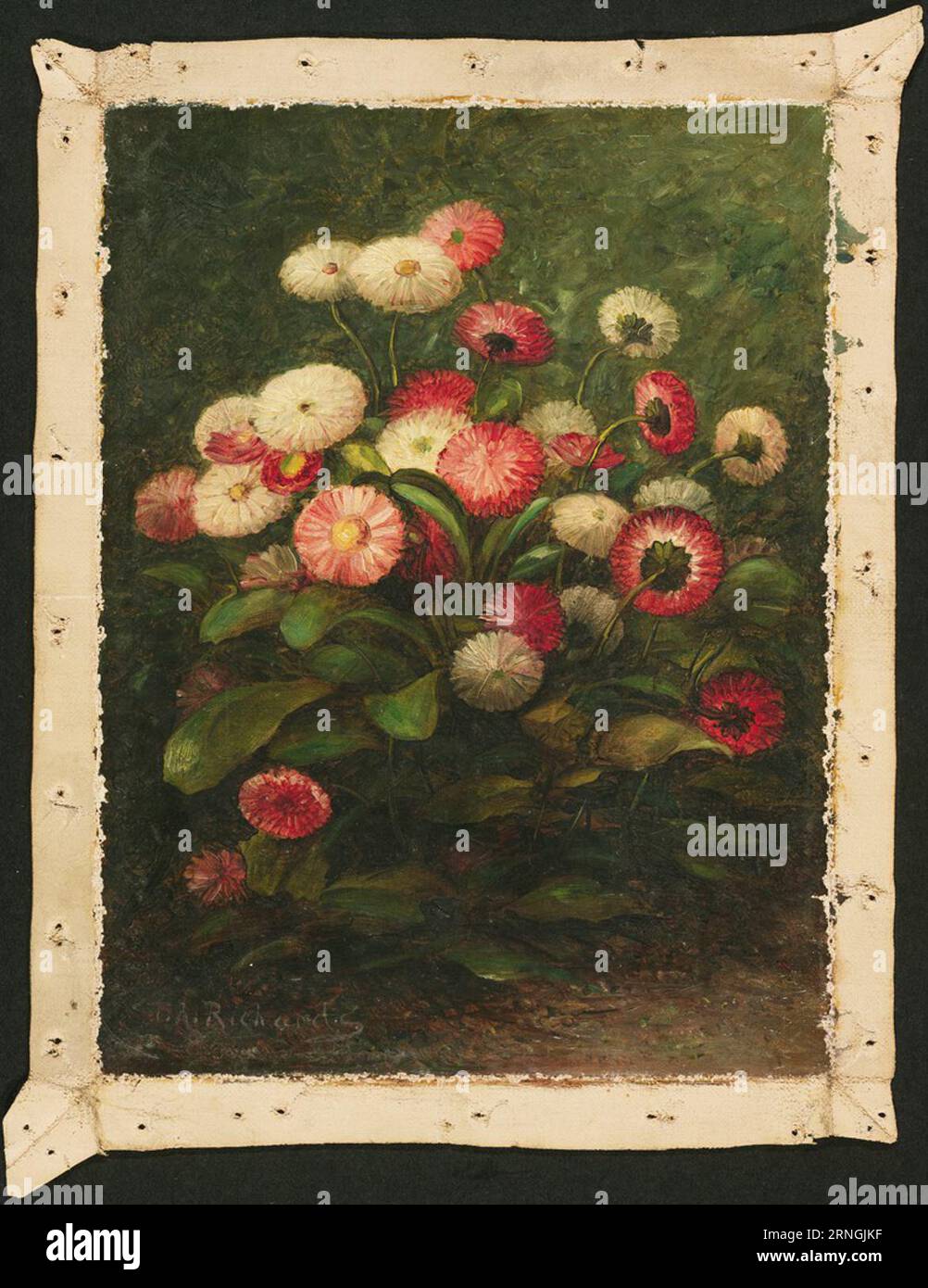 Thomas addison hi-res stock photography and images - Alamy