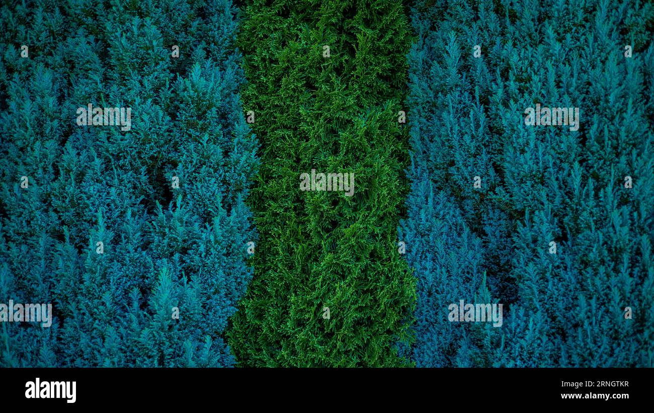 Different coloured foliage hi-res stock photography and images - Alamy