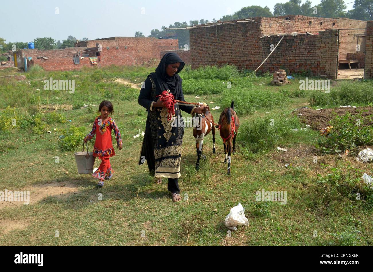 Pakistani Rural Area (161015) -- LAHORE, Oct. 15, 2016 -- A Pakistani rural woman (R) walks ...