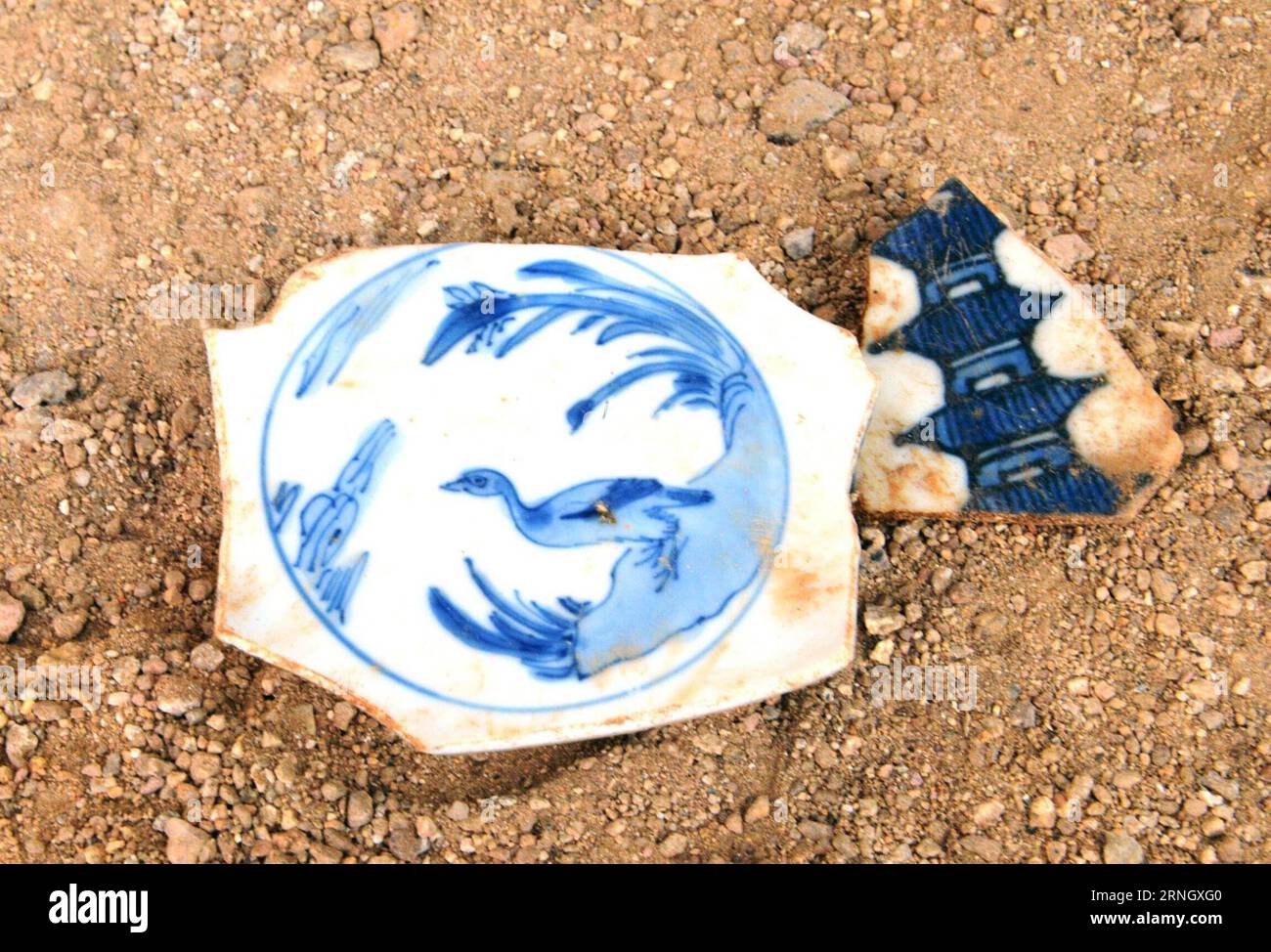 (161015) -- ACAPULCO (MEXICO), Oct. 15, 2016 -- Photo taken on Oct. 5, 2016, shows antique Chinese porcelain fragments in the city of Acapulco, Mexico. A new archaeological find announced on Friday in Mexico attests to China s age-old vocation as an exporting powerhouse. Mexican archaeologists have uncovered thousands of fragments of a 400-year-old shipment of Chinese export-quality porcelain that was long buried in the Pacific Coast port of Acapulco. Meliton Tapia/) (lr) MEXICO-ACAPULCO-ANCIENT CHINESE EXPORT-QUALITY PORCELAIN -DISCOVERY INAH PUBLICATIONxNOTxINxCHN   161015 Acapulco, Mexico M Stock Photo