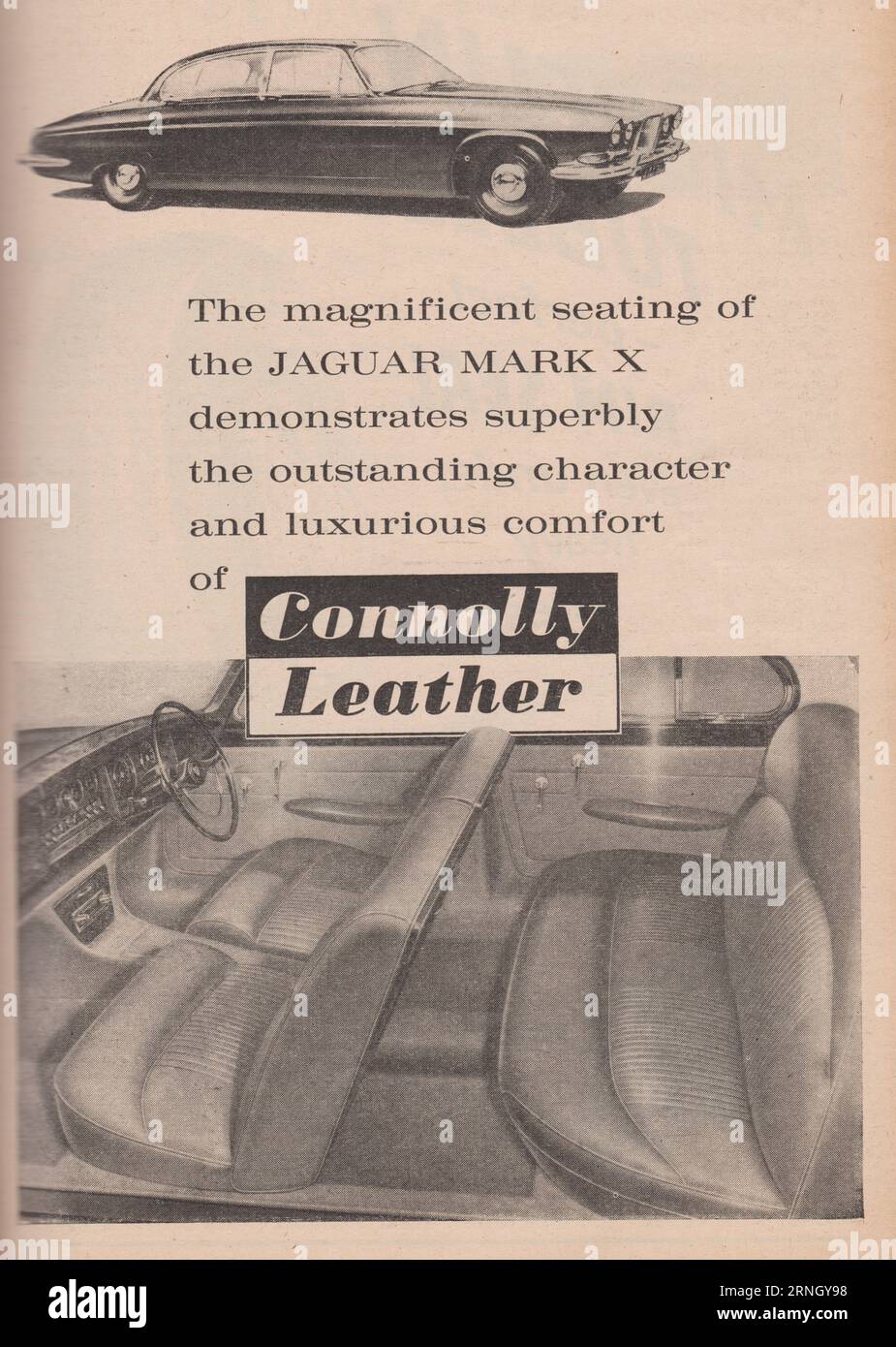 Connolly Leather vintage advert. Stock Photo