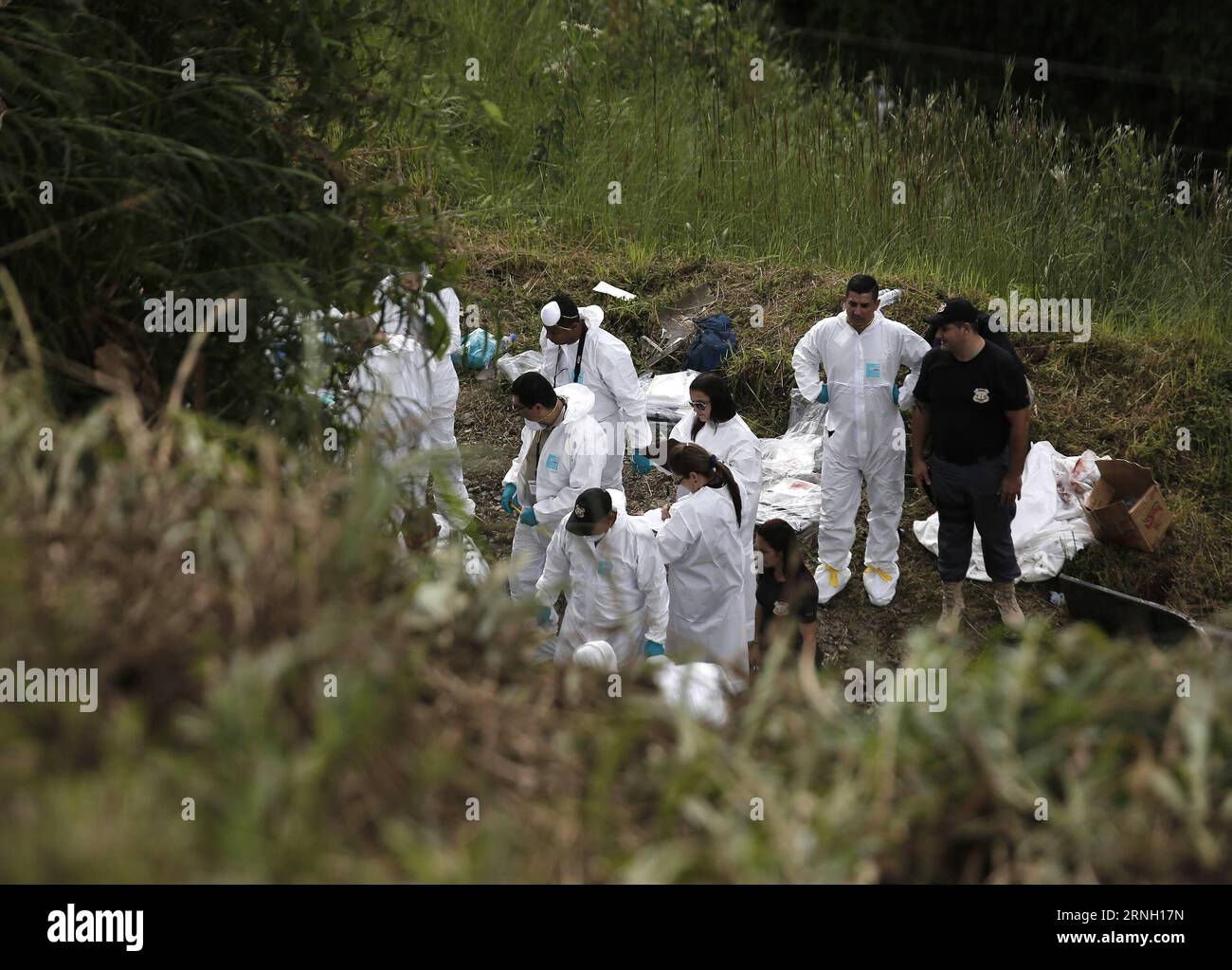 (161021) -- CINCHONA, Oct. 21, 2016 -- Officials work at the site where a bus fell off a 20-meter ditch near the town of Cinchona in the province of Alajuela, Costa Rica, on Oct. 20, 2016. At least 12 people were killed and 18 others injured in Costa Rica on Thursday when a bus carrying 30 tourists fell off a 20-meter ditch. Costa Rican President Luis Guillermo Solis declared three days of national mourning on Oct. 20-22, during which the national flag would be flown at half mast. Kent Gilbert) (fnc) (ce)(yy) COSTA RICA-CINCHONA-ACCIDENT-BUS e KENTxGILBERT PUBLICATIONxNOTxINxCHN   Cinchona OCT Stock Photo