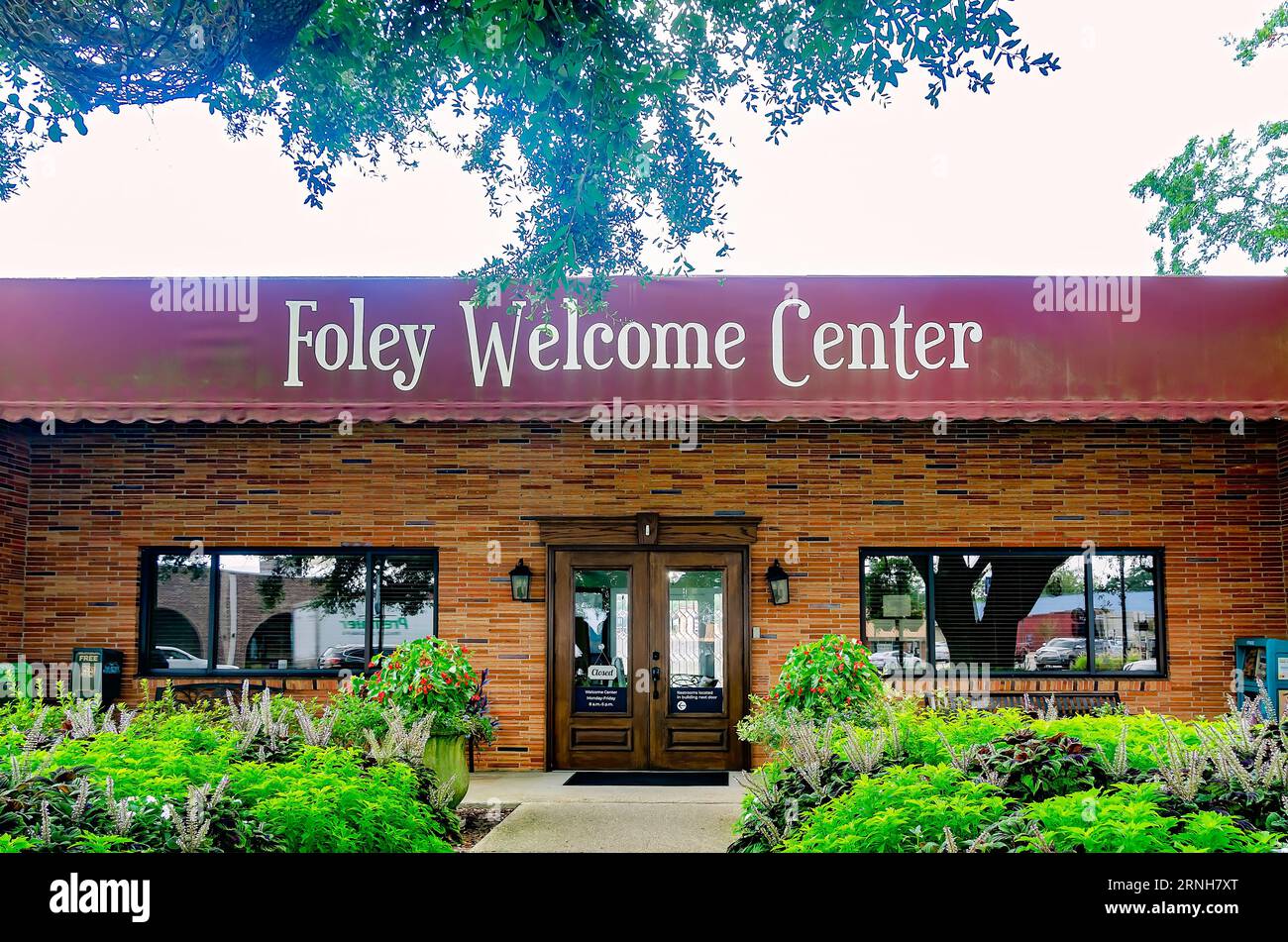 Coleus (Coleus scutellarioides) is planted in front of the Foley Welcome Center, Aug. 19, 2023, in Foley, Alabama. Stock Photo