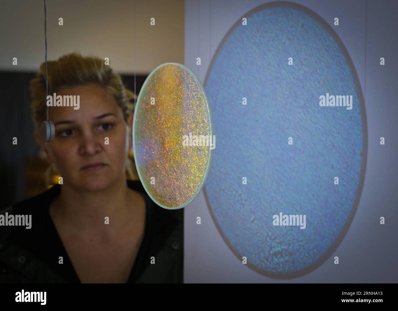 VANCOUVER,  A woman takes a closer look at a winning design from the LAMP s fourth annual international lighting design competition in Vancouver, Canada, Nov. 4, 2016. Winning designs from LAMP s fourth annual international lighting design competition under the theme cosmic were displayed in Vancouver. )(axy) CANADA-VANCOUVER-LIGHTING DESIGN-EXHIBITION LiangxSen PUBLICATIONxNOTxINxCHN   Vancouver a Woman Takes a CLOSER Look AT a Winning Design from The Lamp S Fourth Annual International Lighting Design Competition in Vancouver Canada Nov 4 2016 Winning Designs from Lamp S Fourth Annual Interna Stock Photo